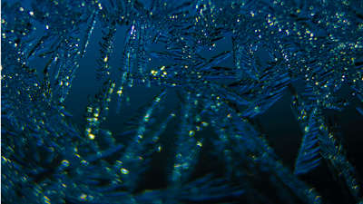 Liquid Crystal Elastomers