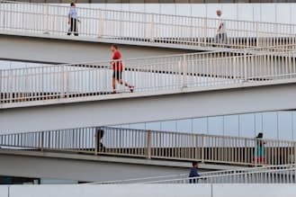Access Solutions for Inclusive Building Design